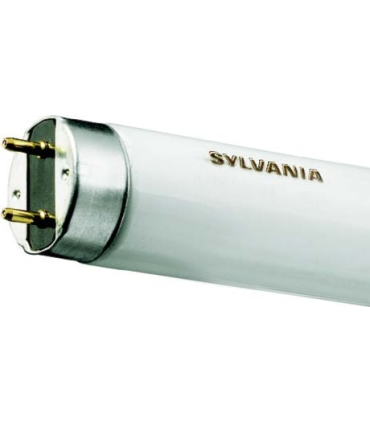 Tube Fluorescent G13 Sylvania Standard 25W/33 54-765 Blanc Lumière du Jour T8