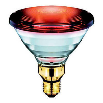 PHILIPS lampe infra rouge PAR 38E 150W