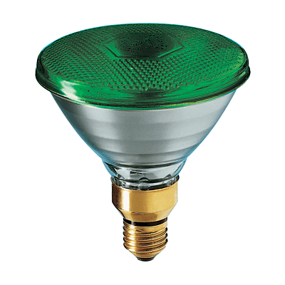 PHILIPS PAR38 VERT 80W E27 230V GR 