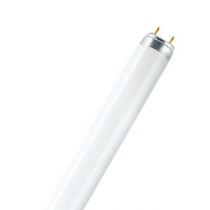 OSRAM T8 L 36W/76-1 NATURA