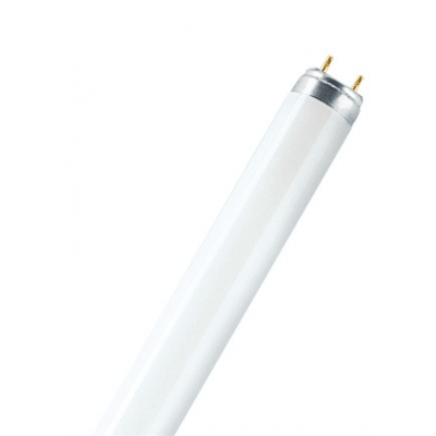 OSRAM T8 L 36W/76-1 NATURA