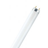 OSRAM T8 L 36W/76-1 NATURA pour l alimentaire