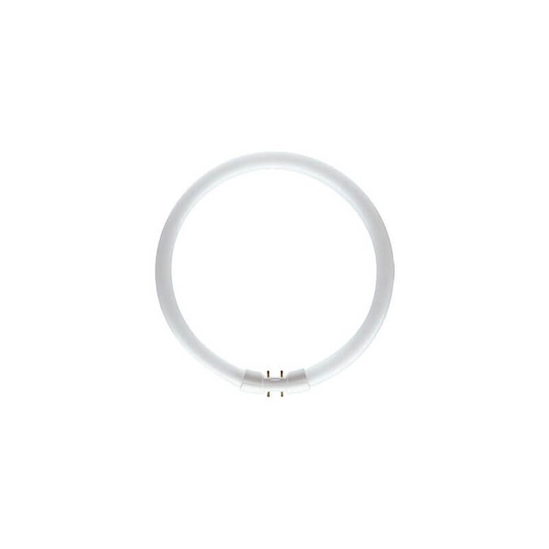 PHILIPS MASTER TL5 Circular 55W/830 1CT PHILIPS MASTER TL5 Circular 55W/830 1CT