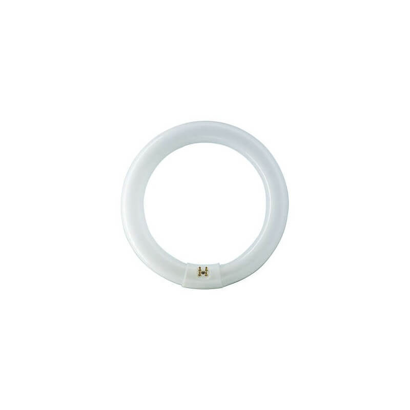 PHILIPS TL-E CIRCULAIRE DESTOCKAGE PHILIPS TL-E CIRCULAIRE DESTOCKAGE