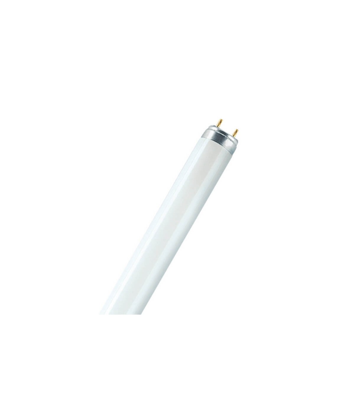 Néon LED Luxen 22W substitut 58W 2300 lumens blanc lumière du jour 6500K  150cm G13