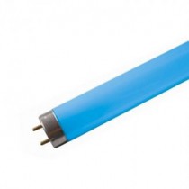 Tube neon fluorescent 18w bleu T8 0,600m