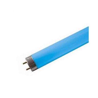 Tube neon fluorescent 18w bleu T8 0,600m