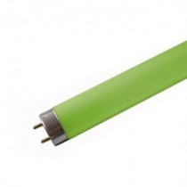 Tube neon fluorescent 18w vert T8 0,600m