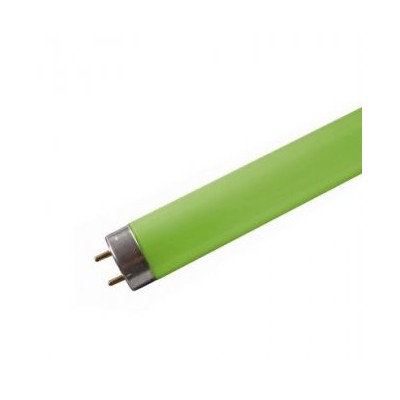 Tube neon fluorescent 18w vert T8 0,600m