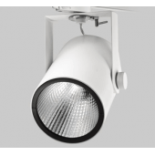 Ray LED 55W WFL 4000K 1T3694Z3 BLANC Froid