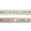 Rouleau LED 50m 10W/m 840lm 220V AC SMD5050 60 LED/m Blanc 6.000k IP65