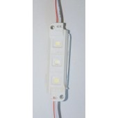 Chaîne de 30 Modules LED 0.36W par module 6500K Blanc lumière du jour 12V IP65 120°