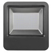 PROJECTEUR RaLED FLOODLIGHT 100W/6500K Cool Daylight IP65