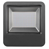 PROJECTEUR RaLED FLOODLIGHT 100W/4000K COOL WHITE IP65 Etanche 5303