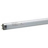 Neon fluorescent Philips TL-D 30w/33-640 longueur 90cm