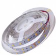 Ruban Led 24V 60Led/m 6500K Blanc lumière du jour 12W  5m