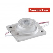 Chaîne de 30 modules LED 1.52W/Module Blanc 6500k 12V  IP67