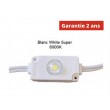 Chaine de 100 modules led Blanc White Super 8000K 24w/ 12v étanche IP67