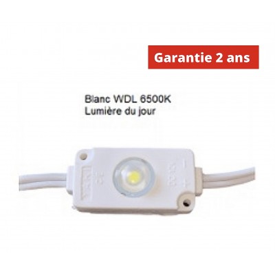 Chaine de 100 modules led Blanc WDL 24w/ 12v 6500K étanche IP67