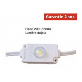 YAKI Chaine de 100 modules led Blanc WDL 6500K 0.24w/module 12v  IP67 150°