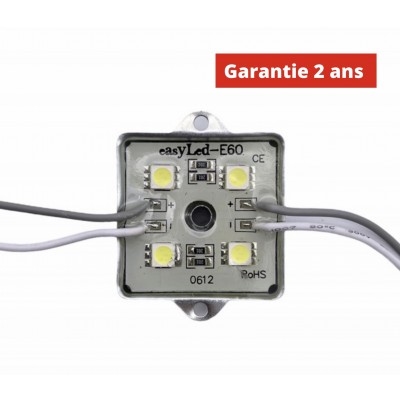 Chaine de 20 modules E60WS 1.44W/module Blanc 8000k Etanche IP65 12V