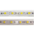 Rouleau LED SMD5050 60LED/m Rouge 50mètres Etanche IP65 220V AC