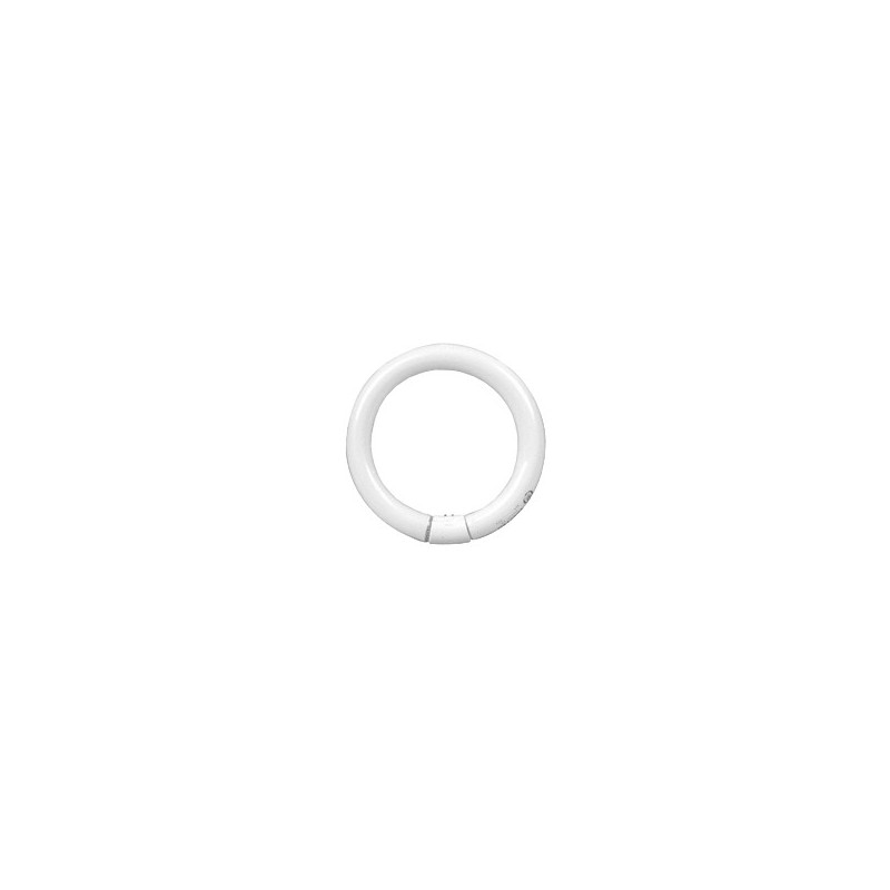 Philips TL-E Circular 40W/33-640 1CT 284549 Philips TL-E Circular 40W/33-640 1CT 284549