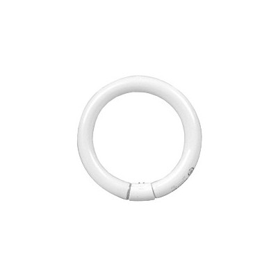 Philips TL-E Circular 40W/33-640 1CT 284549