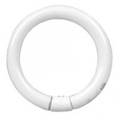 Philips TL-E Circular 40W/33-840 blanc brillant G10Q 284747