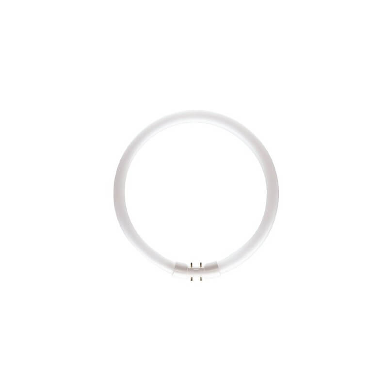 Philips MASTER TL5 Circular 22W/830 1CT culot:2G13 Philips MASTER TL5 Circular 22W/830 1CT culot:2G13