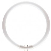 Philips MASTER TL5 Circular 22W/827 BLANC CHAUD culot 2GX13