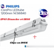 Réglette 1*T8 avec tube Philips 14,5W 1600 lumens Blanc froid 4000K IK08 IP65 étanche 1200mm
