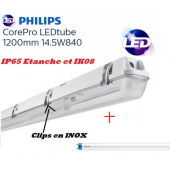 Réglette étanche LED IP65, IK08, cablage traversant