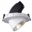 Encastrable LED orientable 40W 3000K Blanc chaud 4700 lumens diamètre de perçage 190°