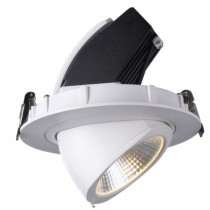 Encastrable LED orientable 40W 3000K Blanc chaud 4700 lumens diamètre de perçage 190°