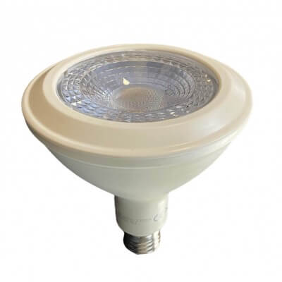 Ampoule LED spot LUXEN PAR38 15W Substitut 75W 1000 lumens Blanc lumière du jour 6500k E27
