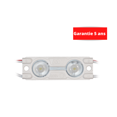 Chaîne de 50 modules WHITE 6500K 0.48w/module 12V IP67 160°