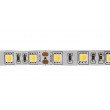 Luxen Ruban LED 12v 60LED/m 3000K blanc neutre 14,4w/m 5M
