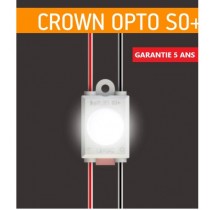 CROWN OPTO Chaîne De 80 Modules LED 1 Point 0,5w/Module Blanc Lumière Du Jour 6500k 12V IP67 160°