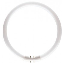 Philips MASTER TL5 Circular 22W/840 blanc froid culot 2GX13