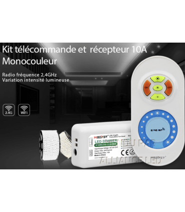 Kit télécommande 1 zone + Récepteur MONOCOULEUR 10A