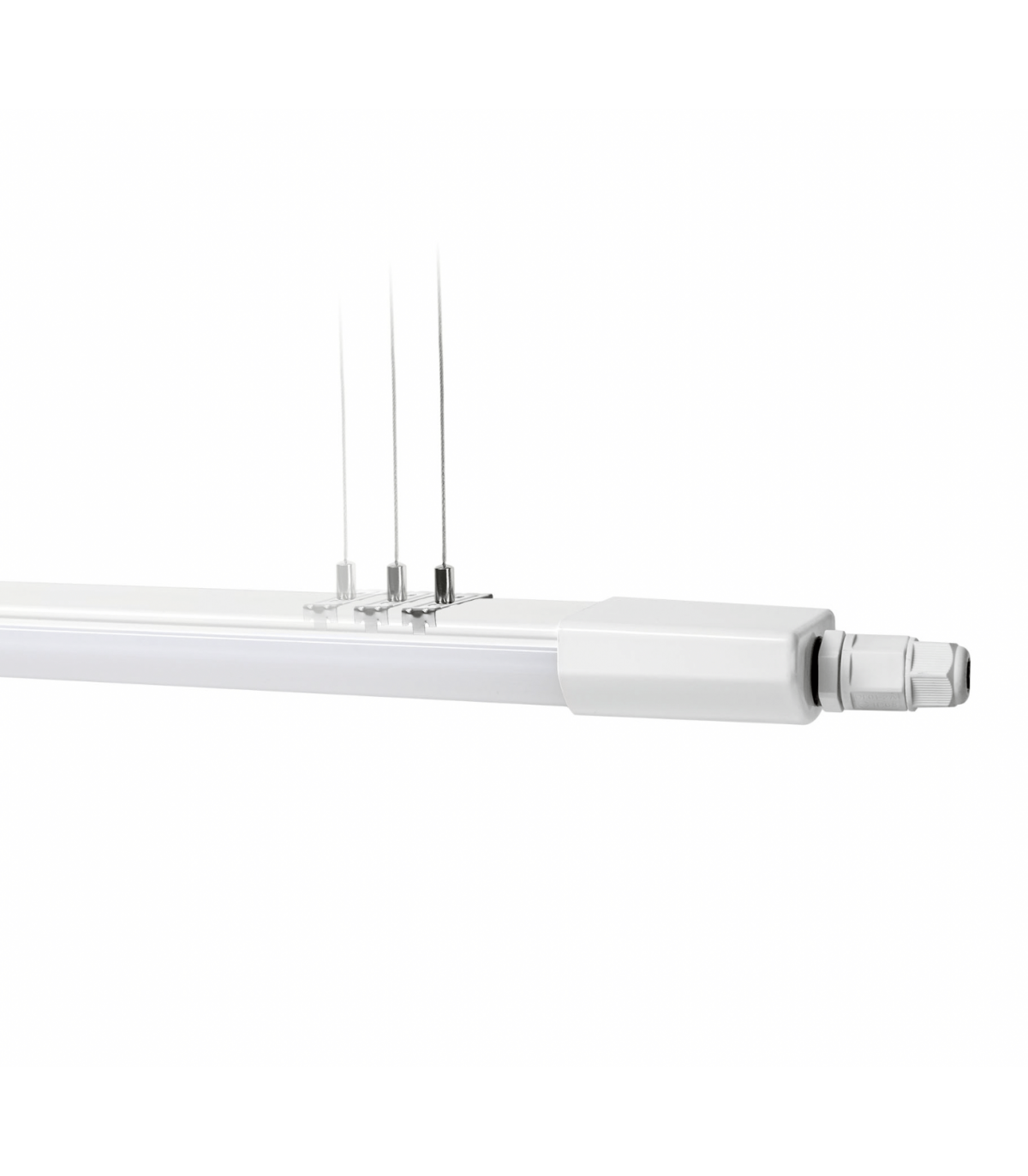 Réglette néon LED T8 60CM simple 9W blanc froid 6000K étanche IP65