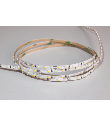 Ruban LED ULTRA SLIM 24V 126LED/M 6500K Blanc Lumière Du Jour 9w/M 5m