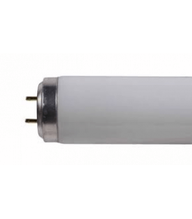 Tube fluorescent PHILIPS TL'/RS 20W/33-640 4000k G13 diamètre 38mm