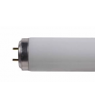 Tube fluorescent PHILIPS TL'/RS 20W/33-640 4000k G13 diamètre 38mm