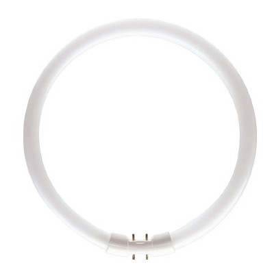 PATRON  TL5 Circular 22W/830 BLANC CHAUD culot 2GX13