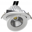 Encastré orientable rond 25W 2500 lumens CCT couleur sélectionnable diamètre de perçage 110mm