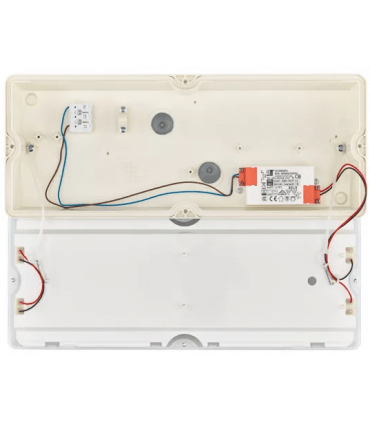 Applique LED intégrée PHILIPS Ledinaire Square Wall-Mounted WL055V LED6S/840 PSU WH Blanc froid 4000K IK08 IP65