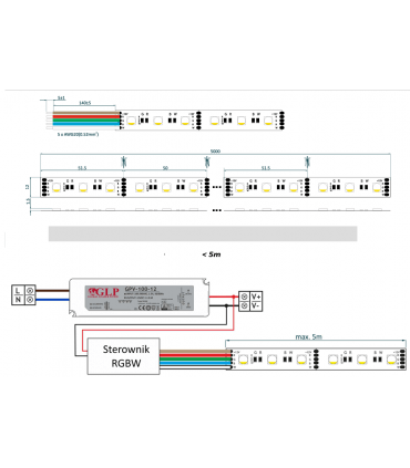 Ruban LED 12V 60led/m RGBW-WP multi-couleurs 19.2W/m étanche IP65 5m