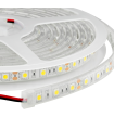 Ruban LED 120LED/M 4000K Blanc froid 9.6W/M Etanche IP67 5m 24v